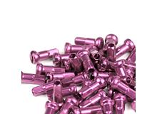 Polyax pink