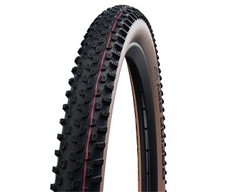 Racing Ray Speed transparent sidewall