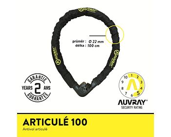 Articule řetěz 100x22