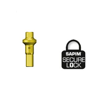 Double square gold secure lock