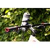 Bottle cage mount