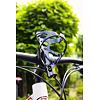 Bottle cage mount