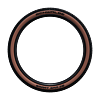 Smart Sam new bronze sidewall totale
